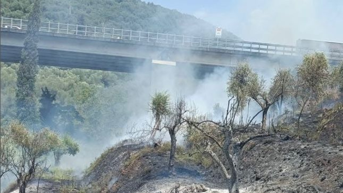 Incendio a Massarosa, chiuso raccordo A11-A12 Lucca Ovest e Viareggio
