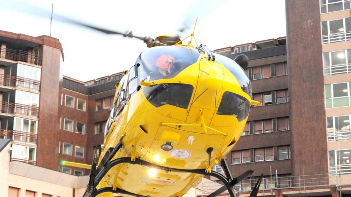 Brescia, sfugge al controllo dei genitori e cade in piscina: gravissimo bimbo di 4 anni Brescia, sfugge al controllo dei genitori e cade in piscina: gravissimo bimbo di 4 anni