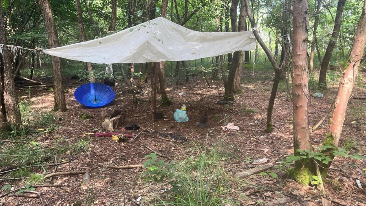 Como, lo spaccio nelle pinete e il sistema delle bande: le «ferie in galera», gli Skorpion da guerra e i pusher anziani per gestire i boschi della droga