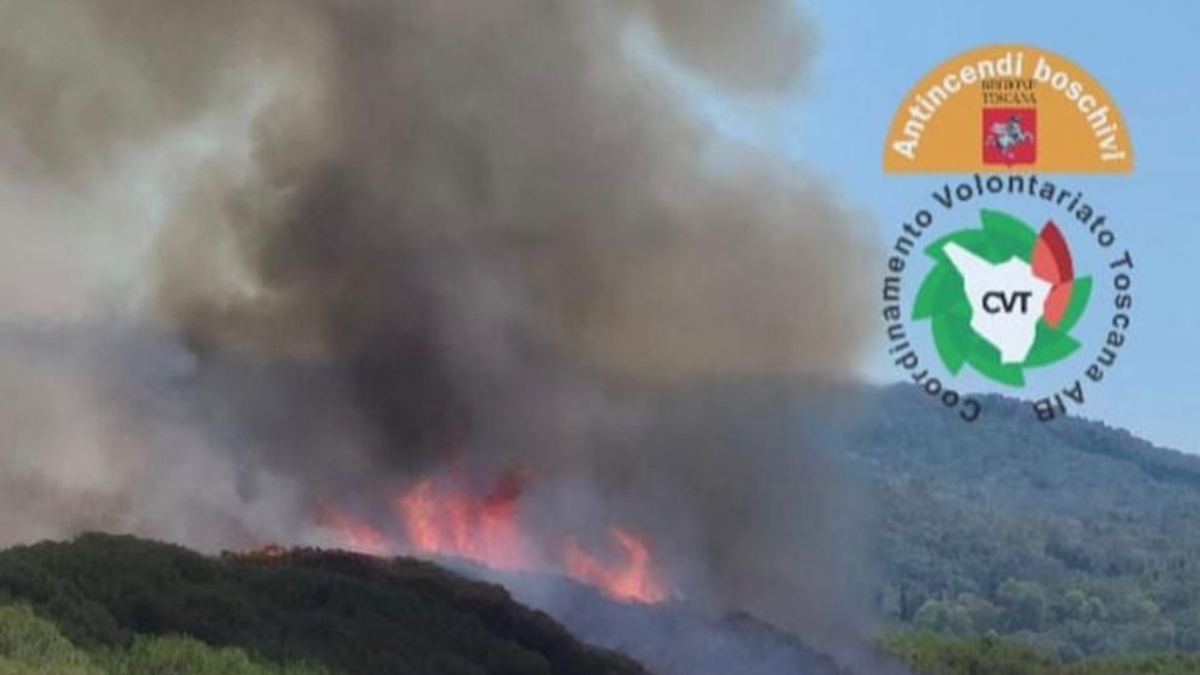 Scarlino, incendio nella pineta del Puntone: bagnanti in fuga