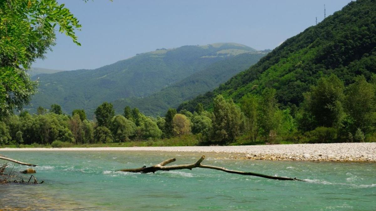 Treviso, bambina di 10 anni muore annegata dopo un tuffo nel Piave. Recuperato il corpo Treviso, bambina di 10 anni muore annegata dopo un tuffo nel Piave. Recuperato il corpo