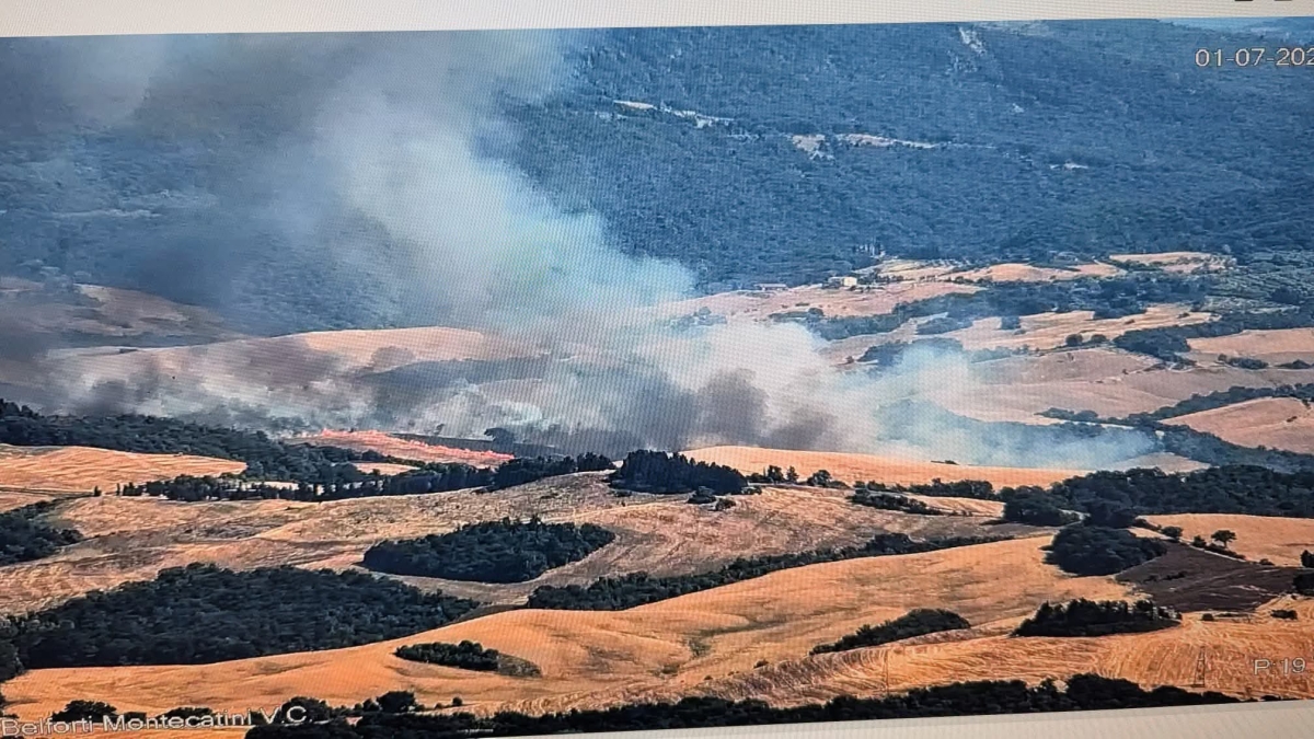 Ancora incendi nei boschi in Toscana: 8 focolai nuovi in un giorno, i più gravi nel Pisano e all'Argentario