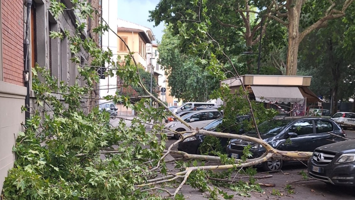 Maltempo a Firenze, bufera sulla città: nuovi blackout, vento, temporale e alberi caduti