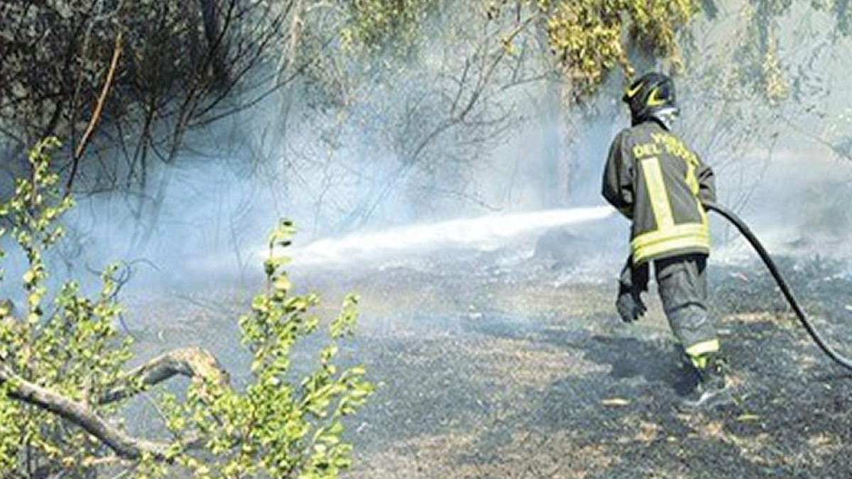 Incendi boschivi, a Roma 500 roghi in due settimane. Il record di Fiumicino con 44 interventi dei pompieri