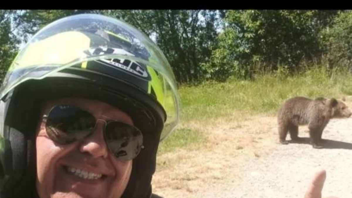 Omar Farang Zin, chi era il motociclista di 48 anni ucciso dall'orso in Romania: la casa a Samarate, i viaggi, i filmati nel cellulare