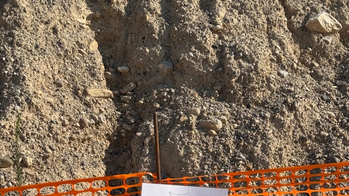 Gli uccelli nidificano nel cantiere e la galleria Tav si deve fermare (per proteggere il gruccione)