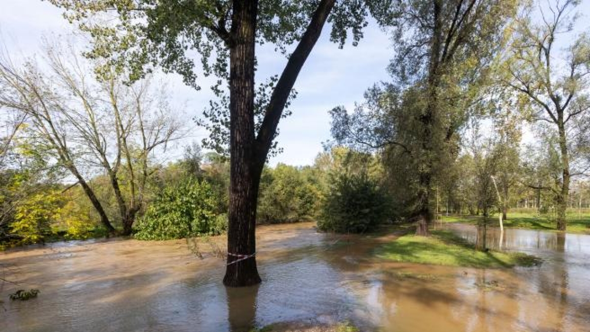 Milano, trovato il corpo di un uomo nel fiume Lambro. Si indaga per l'identificazione