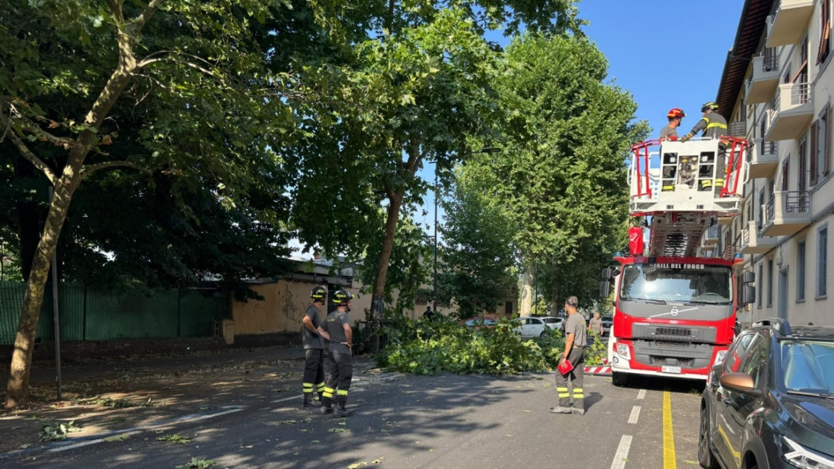Firenze, crollo di grossi rami sul lungarno Ferrucci: «Era uno degli alberi soffocati dall’asfalto»