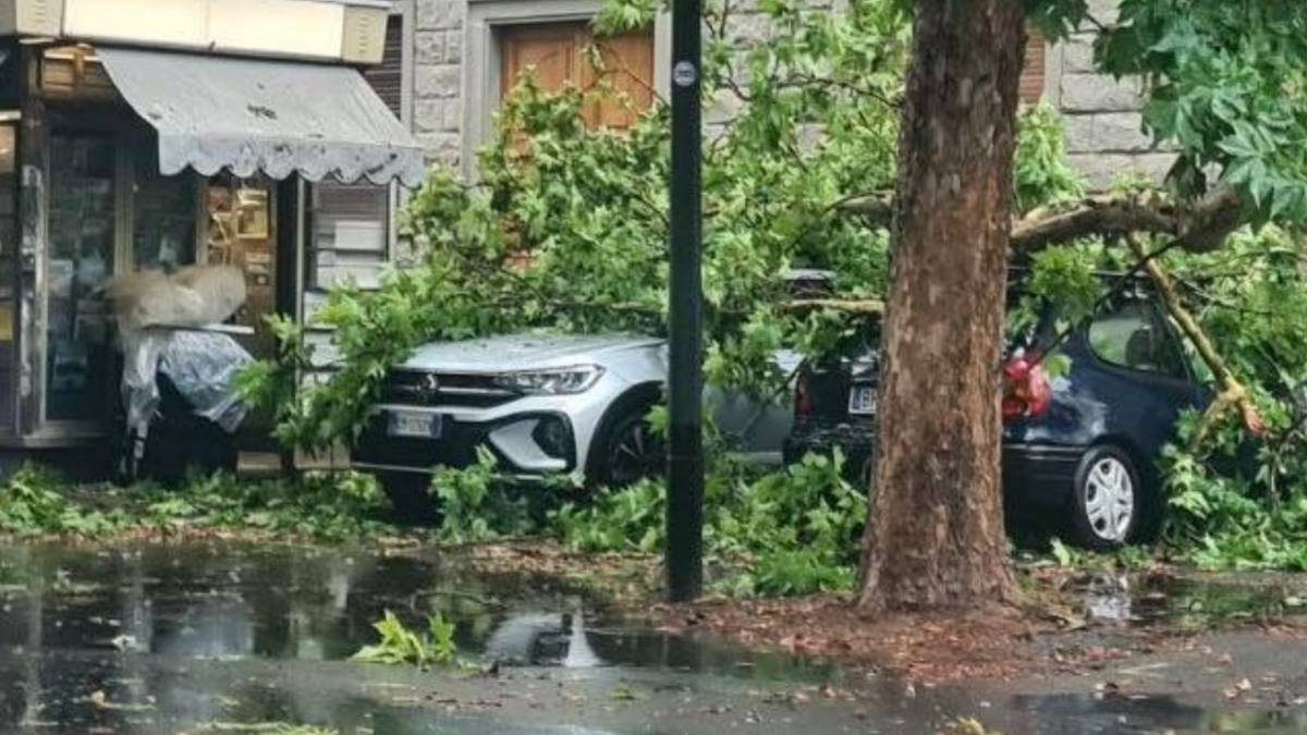 Maltempo Toscana: bomba d'acqua a Firenze, rami caduti in viale Fanti e allagamenti. Allerta gialla estesa a lunedì