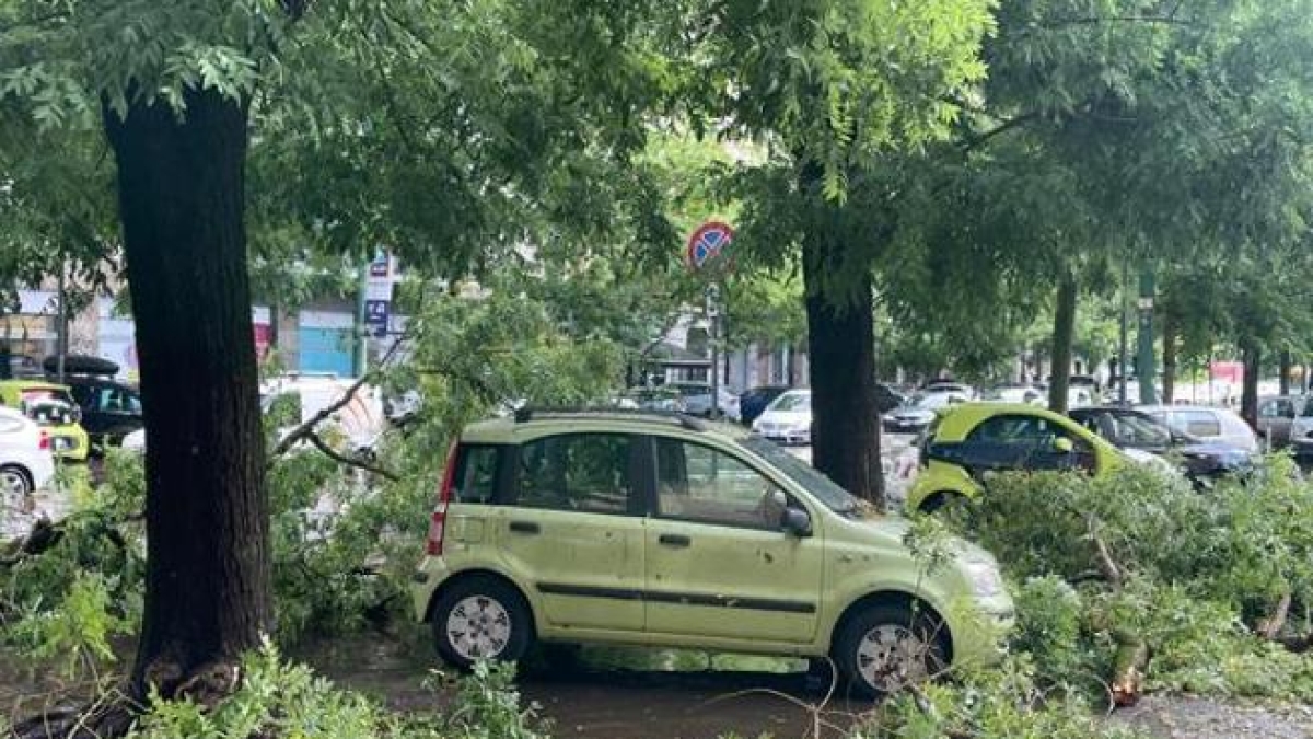 Grandine e rami che cadono: quali assicurazione bisogna fare per essere coperti dai danni?