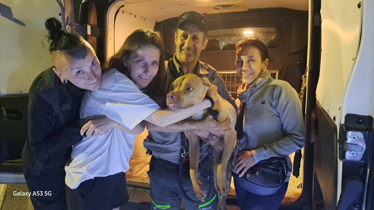 Toffee, la cagnolina ritrovata dopo 3 mesi dal «pet detective»