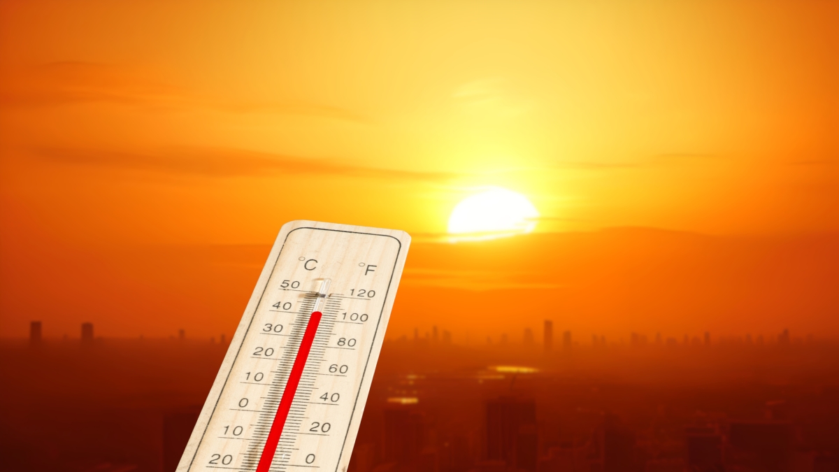 Caldo, triplicati i decessi nei 10 giorni di calore estremo: circa 500 tra Milano e Roma | Harari: "Misure adeguate al nuovo clima"