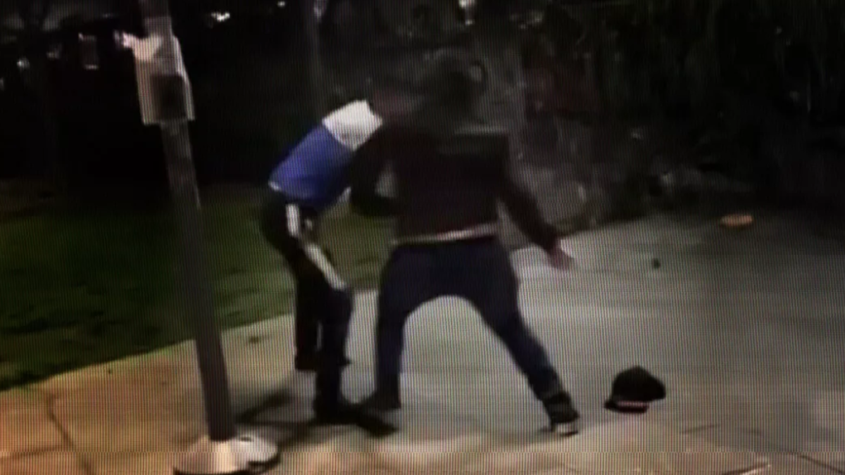 «Articolo 52», organizzavano ronde «anti maranza»: 9 estremisti di destra indagati per associazione a delinquere