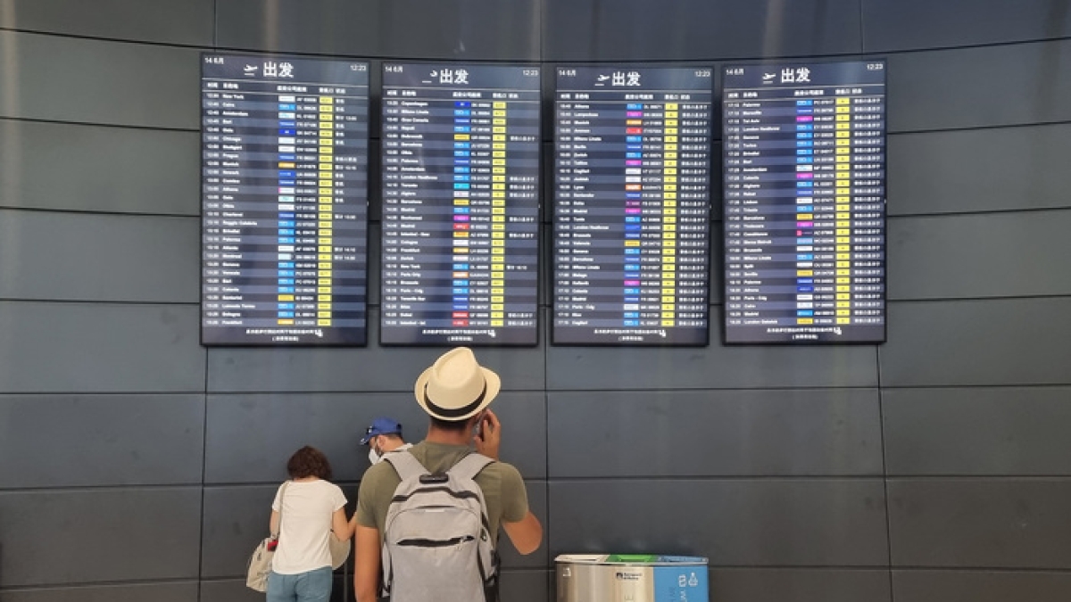 Sciopero trasporto aereo di oggi: gli orari, i voli cancellati e le fasce di garanzia. Cosa sapere