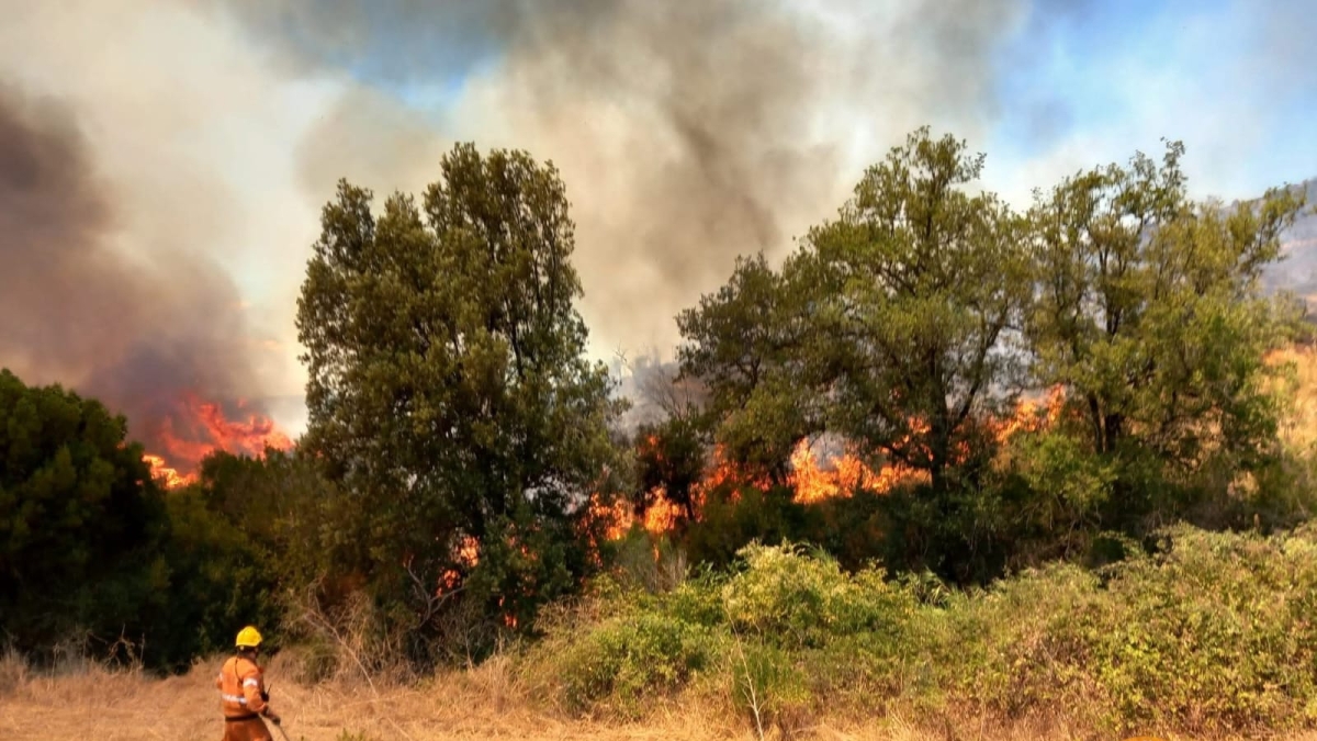 L’altro Sos nell’estate degli incendi in Toscana: «Mancano 500 vigili del fuoco»
