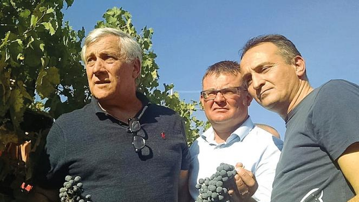 Alberto Cirio fedele a Tajani ma si prepara al salto nazionale (Pier Silvio permettendo)