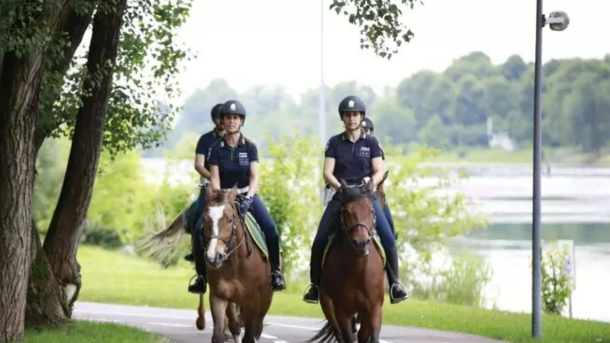 Polizia a cavallo a Viareggio, la denuncia di Ihp: «Sicurezza possibile senza sfruttamento degli animali»