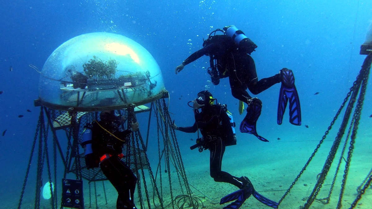 «Visioni dal mondo», il Festival del documentario racconta ecologia, disuguaglianze e sfide etiche