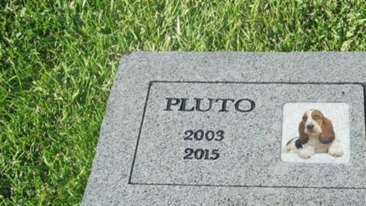 In Toscana le ceneri del gatto e del cane possono essere seppellite con la salma del padrone