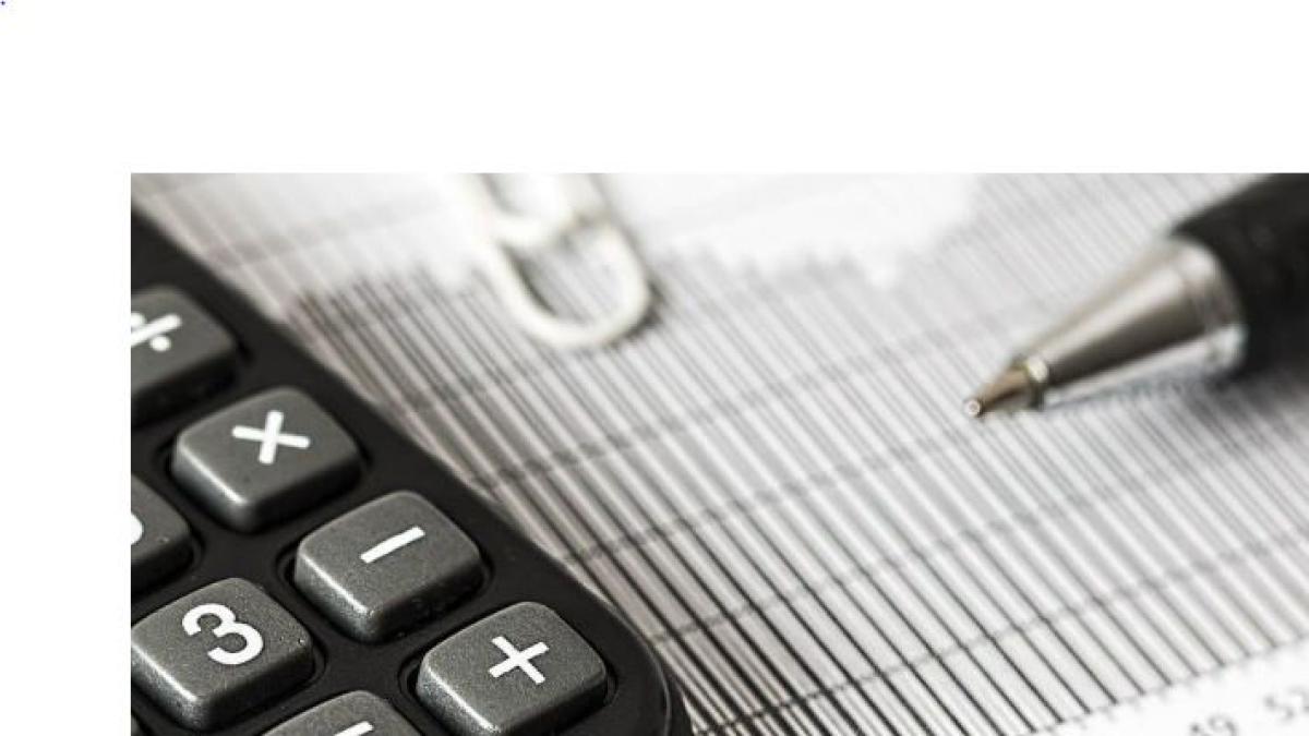 salta il tetto agli stipendi pubblici a 240 mila euro all8217anno la consulta norma illegittima160