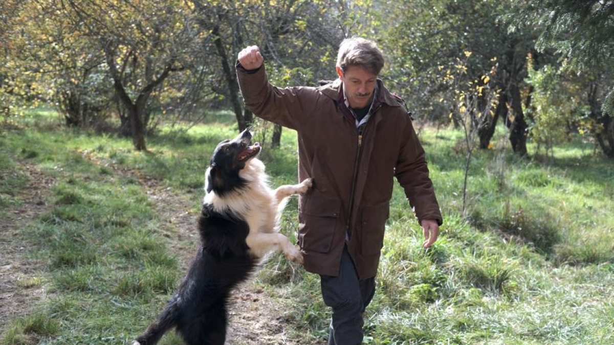 Pasotti: «Sono animalista, per questo non ho mai preso un cane a mia figlia». Il mio film ispirato da Olmi
