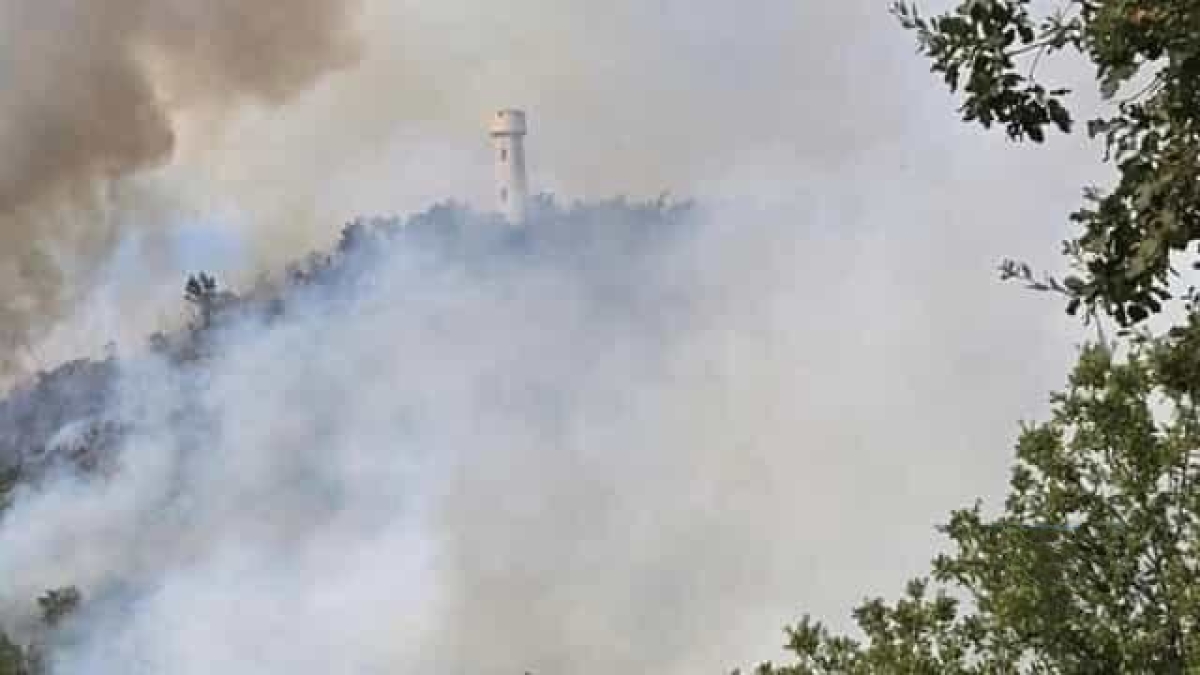 Incendio a Veroli: montagna devastata e cavalli morti carbonizzati. Chiusa la Sora-Frosinone