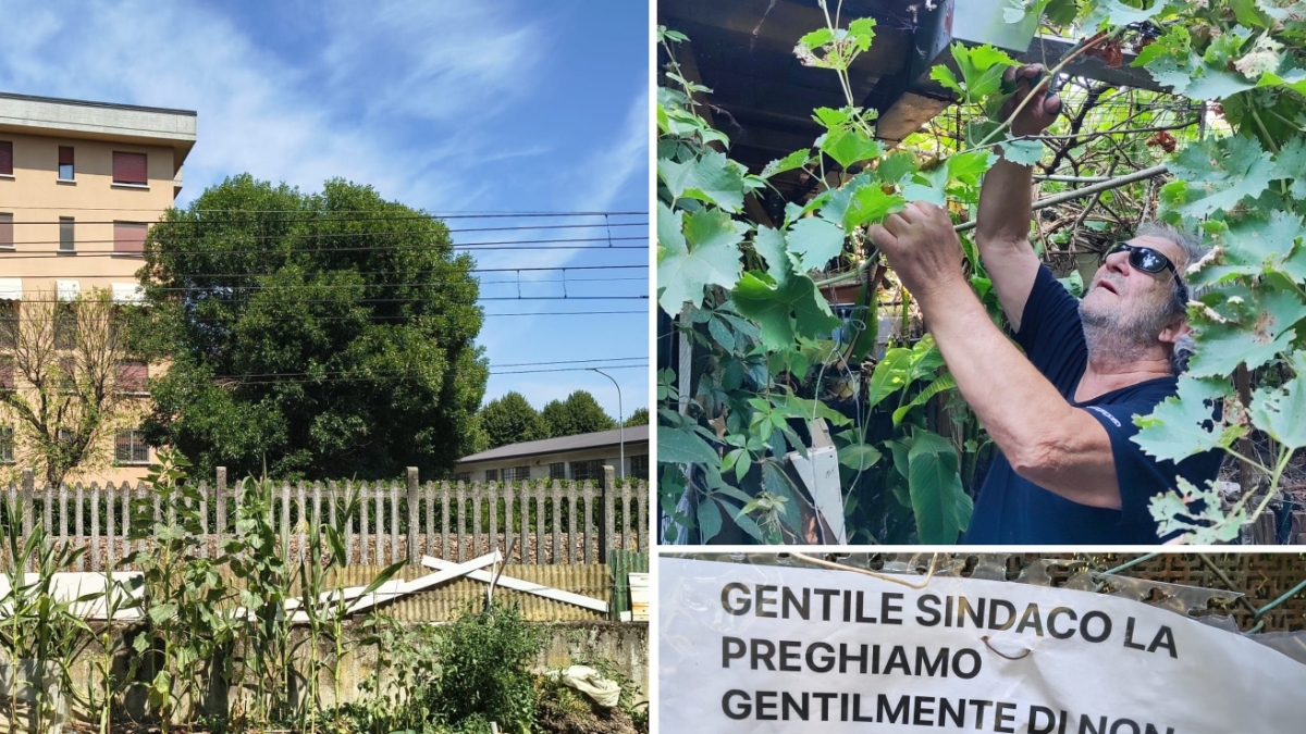 Lodi, la resistenza degli ortisti: «Siamo anziani, non facciamo niente di male. Il Comune non riuscirà a cacciarci»