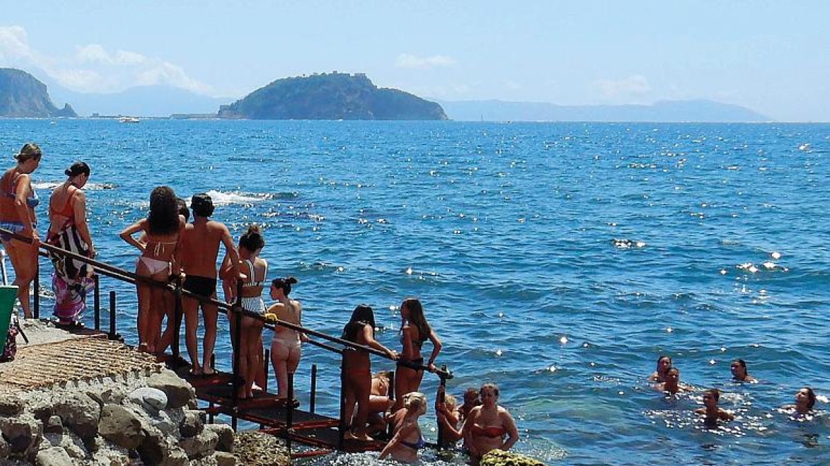 Spunta il sarago che morde le gambe, numerosi casi tra Penisola sorrentina e Costiera amalfitana