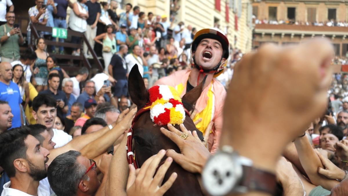 Una vittoria epica del Valdimontone al Palio dell'Assunta 2025: il testa a testa tra Gingillo e Tittia tra colpi e parate