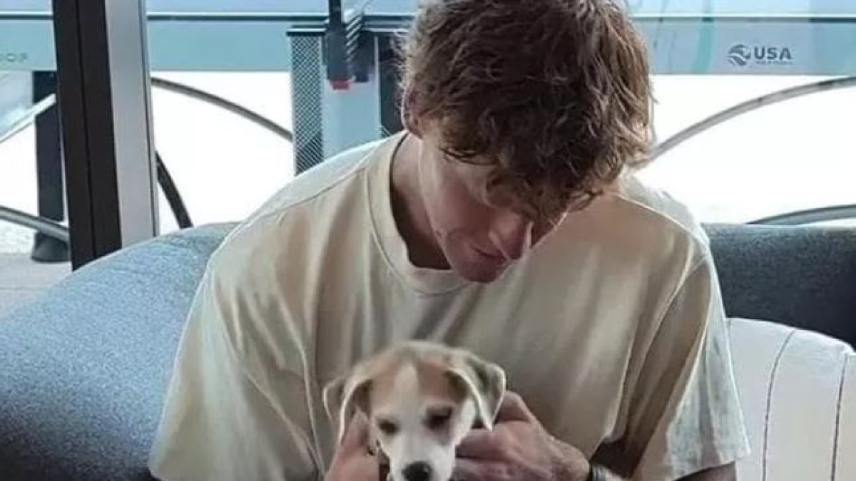Sinner, il cucciolo senza famiglia coccolato da lui a Cincinnati viene rinominato Jannik dal nuovo padrone