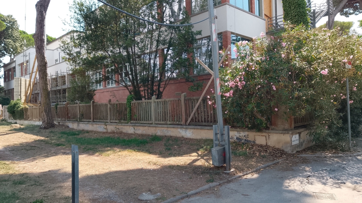 Viareggio, porta a spasso il cane e lo colpiscono più volte al volto con una pietra: 80enne rischia di perdere un occhio