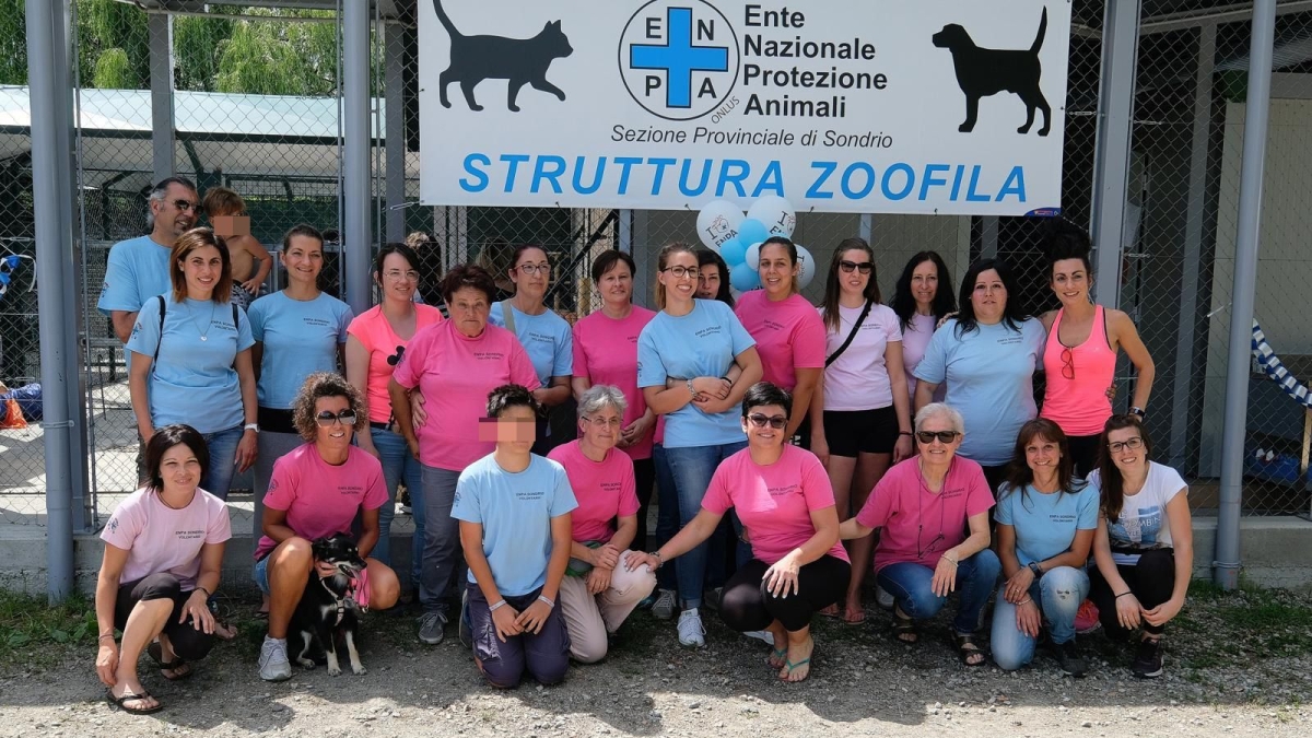 Montagna in Valtellina, vicina fa causa (e vince) al canile «perché disturba». Enpa deve ridurre il numero di animali: «Ma con gli abbandoni di agosto è impossibile»