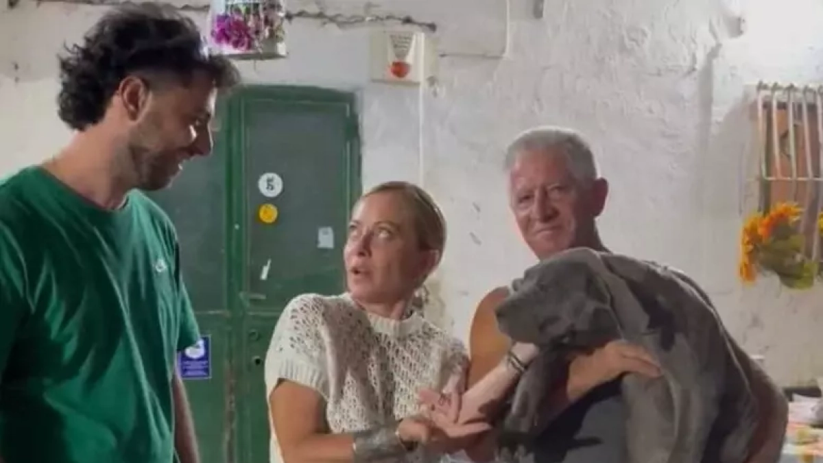 Giorgia Meloni in vacanza in Puglia: visita a un allevamento di cani sul  Gargano. «La premier ha una grande passione per il corso italiano» |  Corriere.it