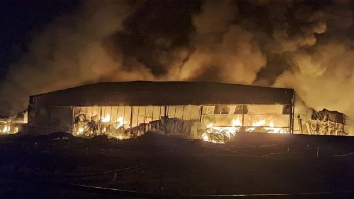 Teano, spento dopo due settimane dai vigili del fuoco il maxi incendio nell'azienda di smaltimento rifiuti