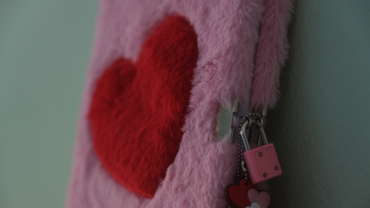 Peluche e rossetti, la stanza lilla delle «maranzine» nella comunità per minori del Milanese