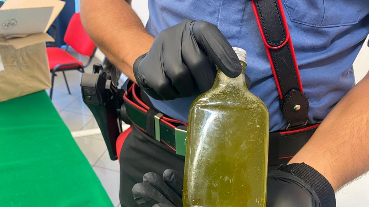Sant'Antonio Abate, in casa aveva 50 bottiglie di liquore alla marijuana