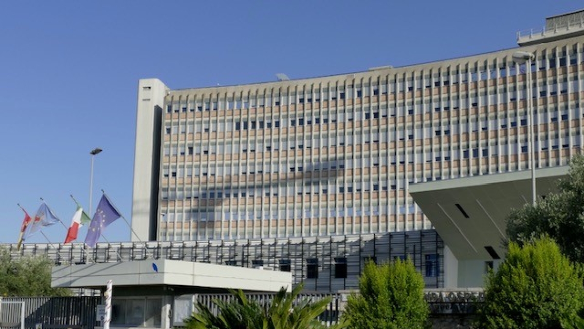 Ospedale Sant’Andrea, con l’Intelligenza artificiale si cura il cancro