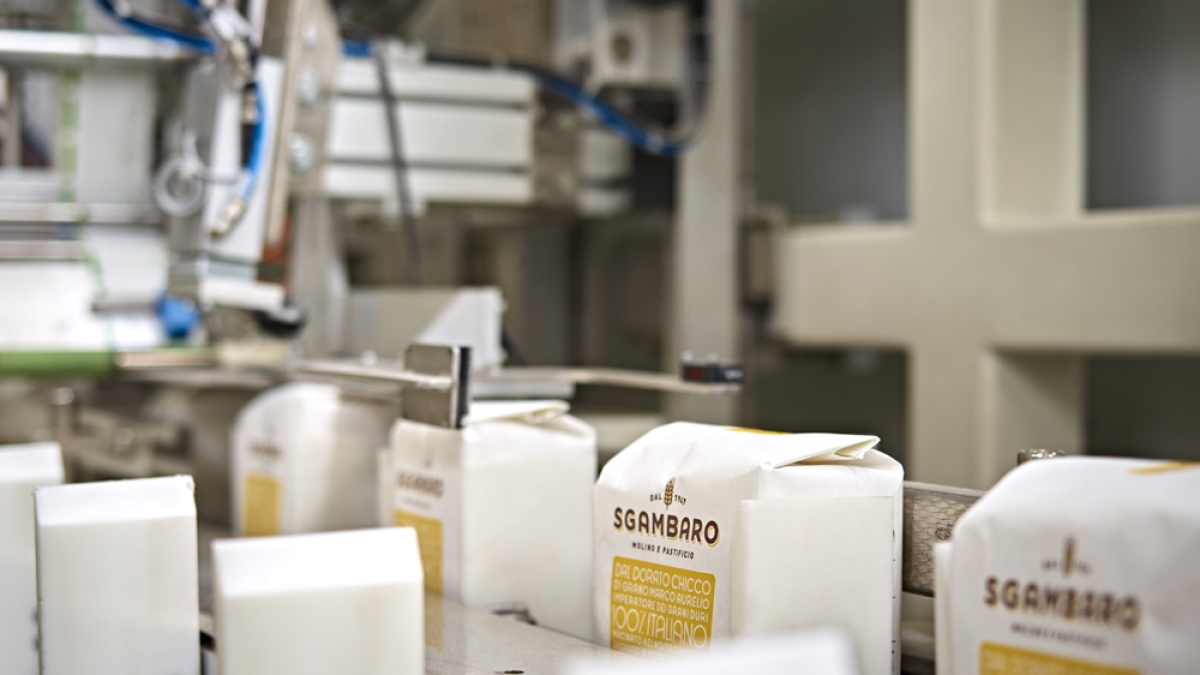 Le 15 domande di Natale: il Questionario dell'Avvento per ragazzi