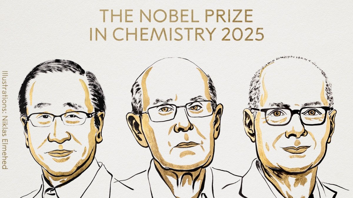 Il Nobel 2025 per la Chimica va a Susumu Kitagawa, Richard Robson e Omar M. Yaghi «per lo sviluppo di strutture metallo organiche»