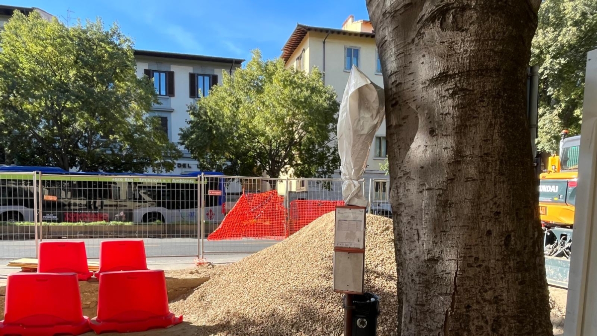 Beccaria-Libertà senza fermate: la linea 8 del bus stravolta dai cantieri