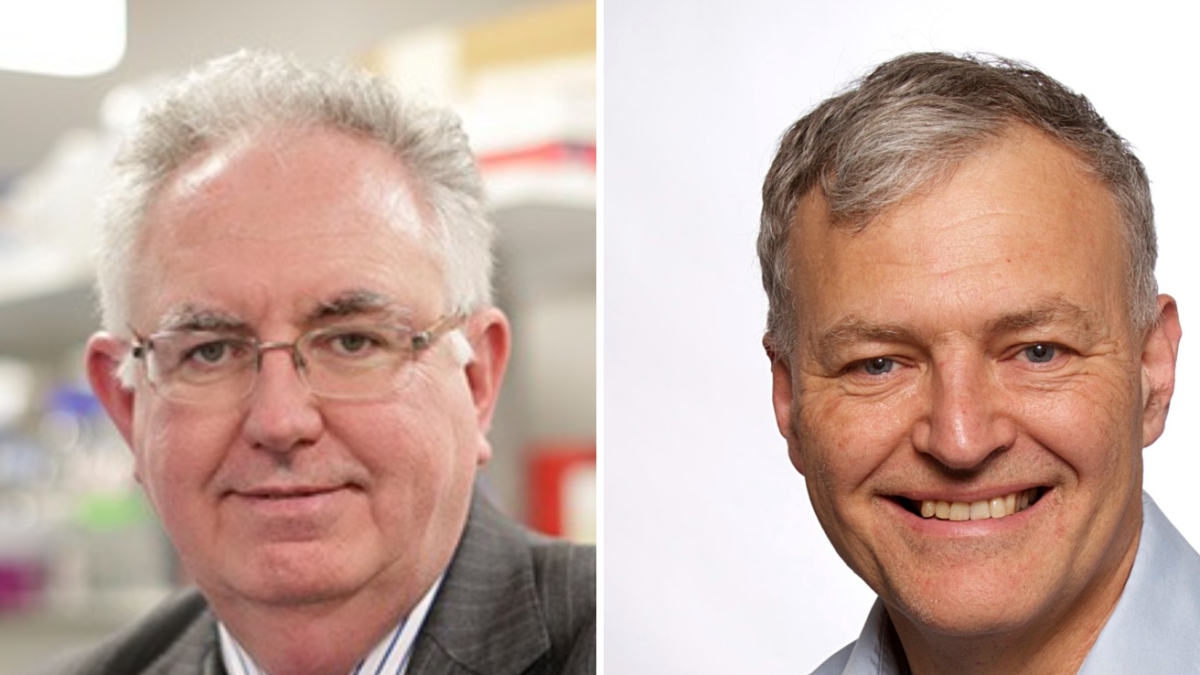 Il premio «Lombardia è ricerca» agli scienziati dei geni: così con la «mappa» dell'individuo si possono curare le malattie