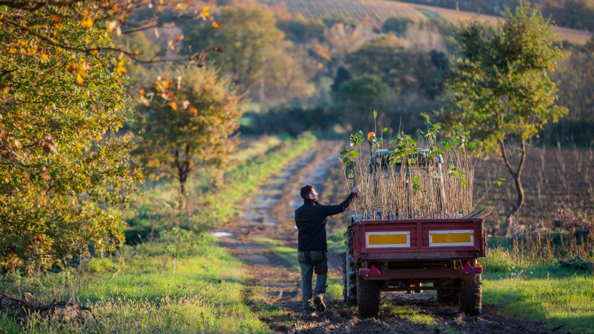 Lazio, crescono i lavoratori dipendenti in agricoltura: più 7,6% , seconda regione d'Italia dopo il Veneto