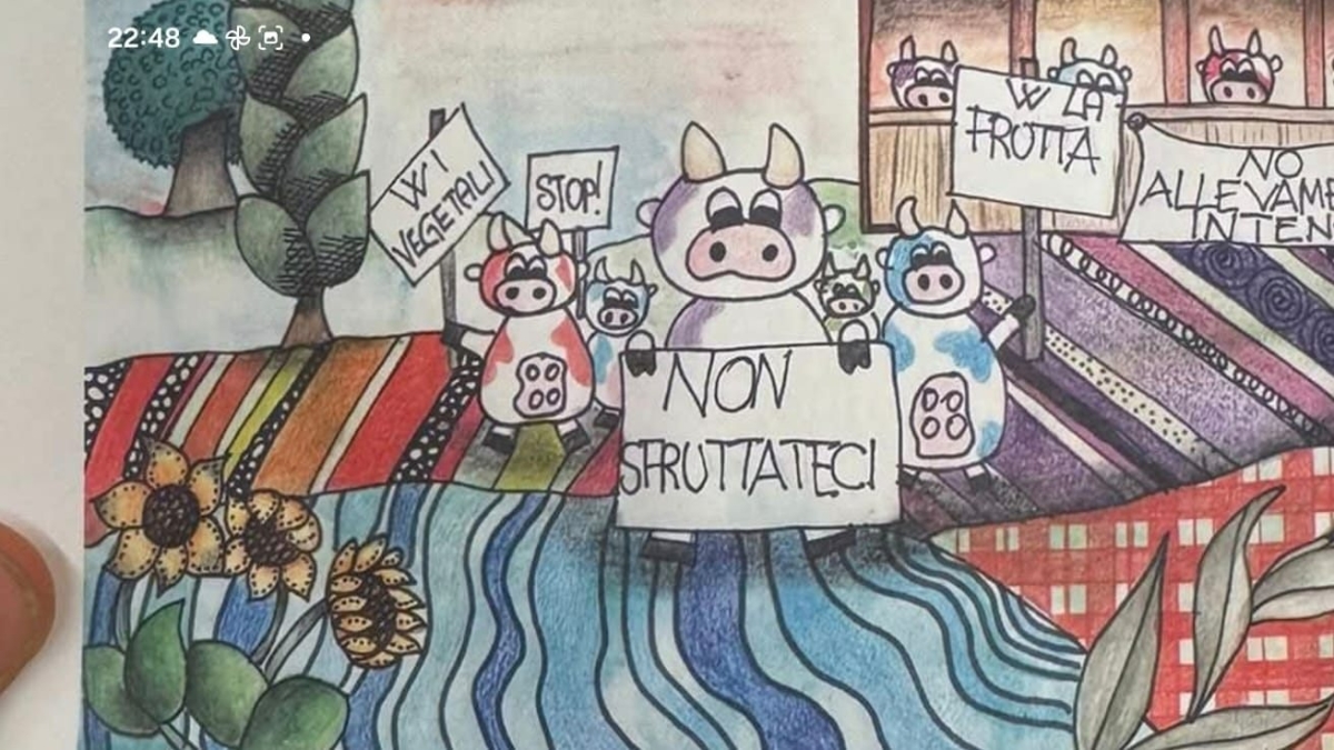 Il disegno delle mucche in sciopero scatena l'ira degli allevatori bovini: «Ritirate quei diari dalle scuole»