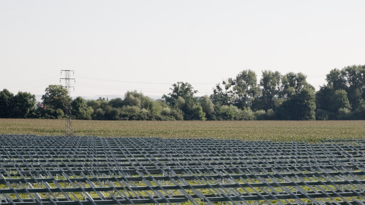 Agrivoltaico, Rolfi replica al Pd: «Fronte comune vietarlo in parchi e colture di pregio, Regione osi o la Bassa sparirà»