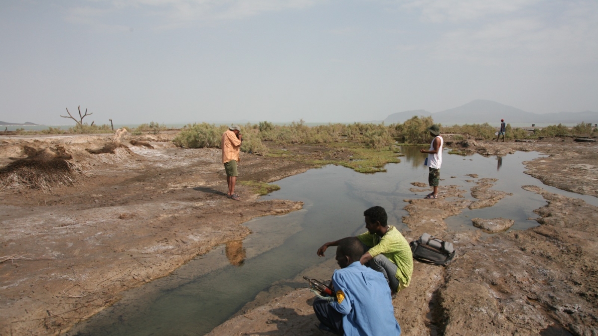 Treviglio, viaggio alla scoperta dei pesci che riescono a sopravvivere nel deserto