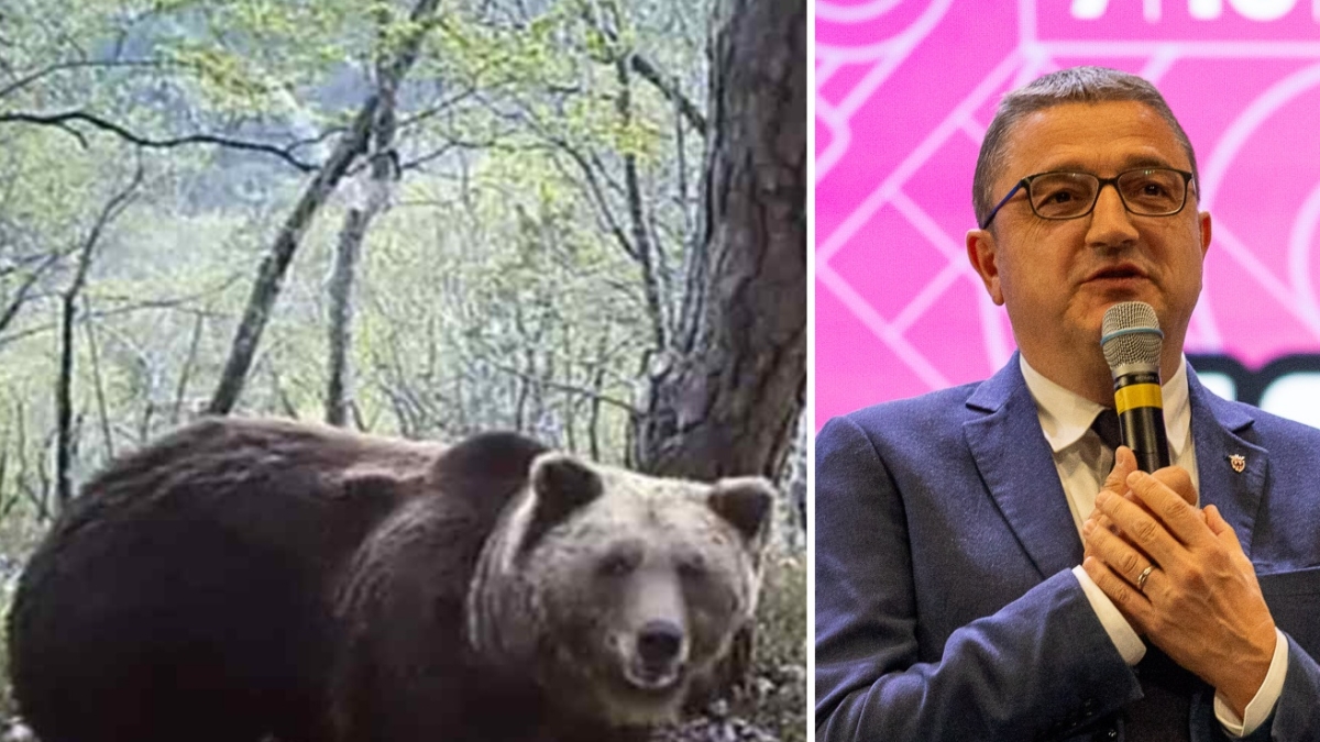 Maurizio Fugatti, il presidente del Trentino indagato per la morte dell'orso M90: «Fu ucciso con crudeltà»