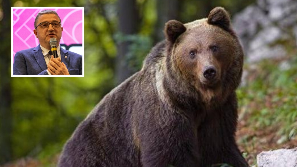 Orso M90 ucciso a colpi di fucile, chiesti a Fugatti 300mila euro. Brambilla (Leidaa): «Un'esecuzione barbara e crudele»