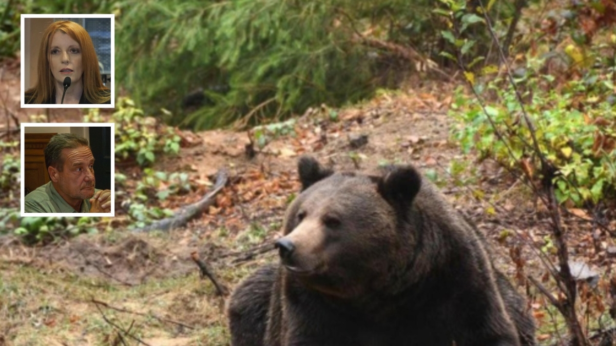 Orso M90 abbattuto, l'imputazione di Fugatti è un caso politico: «Autonomia sotto attacco». Gli animalisti: «Giusto il rinvio a giudizio»
