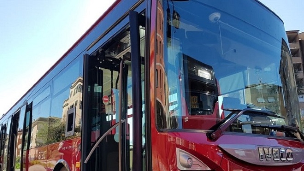 Le 15 domande di Natale: il Questionario dell'Avvento per ragazzi