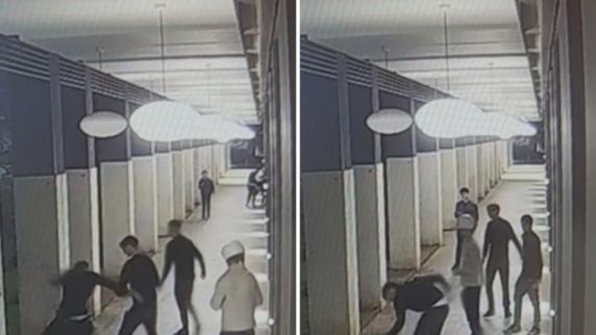 "Speriamo che muoia, così non parla": le frasi choc della banda degli accoltellatori| La gang dei ragazzi "perbene": gli studi, le famiglie